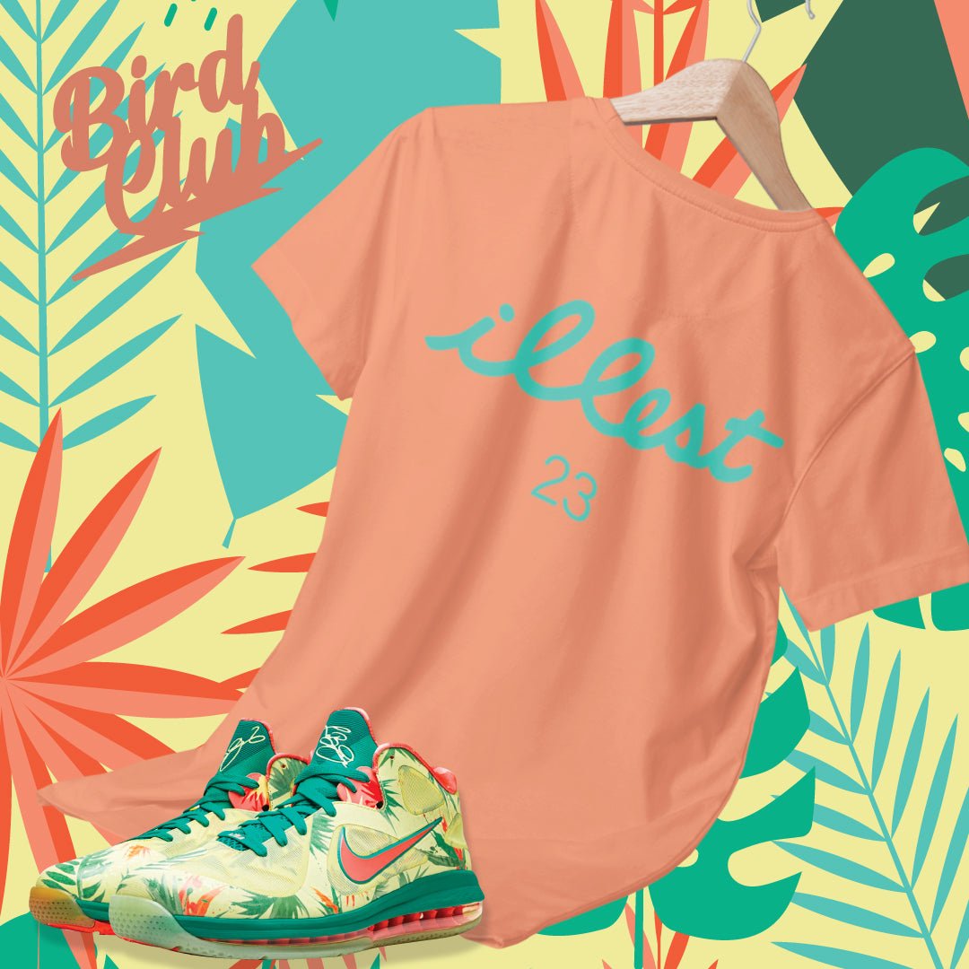 Lebron 9 "Arnold Palmer" in 2022 & what to wear with them - Sneaker Tees to match Air Jordan Sneakers