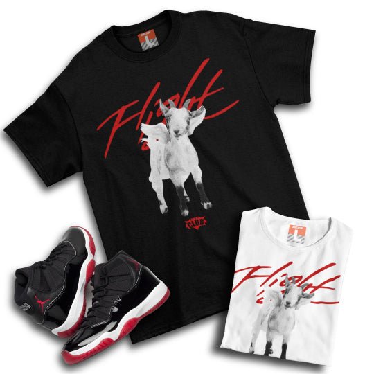 Air Jordan Bred 11 Sneaker Tees Collection - Sneaker Tees to match Air Jordan Sneakers