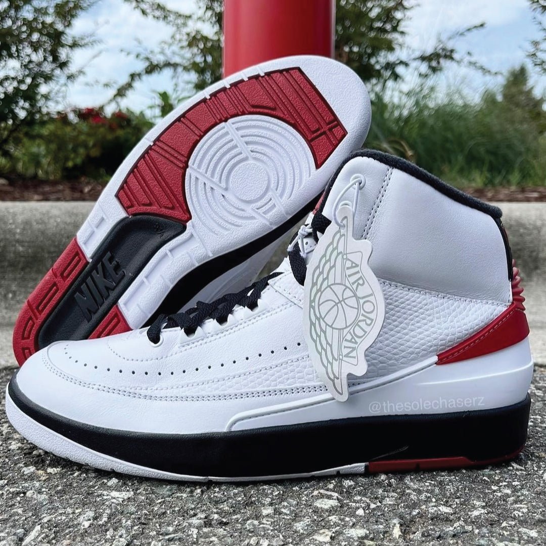 RETRO 2 "CHICAGO" SHIRTS - Sneaker Tees to match Air Jordan Sneakers