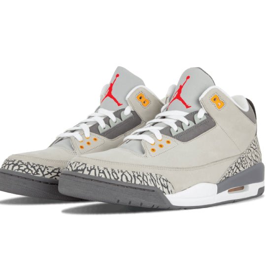 Retro 3 Cool Grey Shirts - Sneaker Tees to match Air Jordan Sneakers