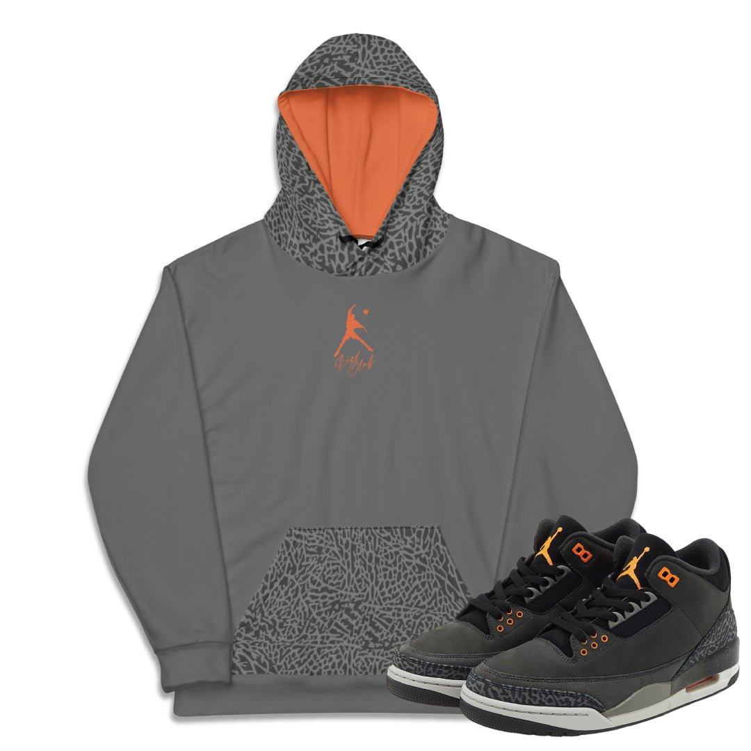 Retro 3 Fear Lifestyle Hoodie - Sneaker Tees to match Air Jordan Sneakers