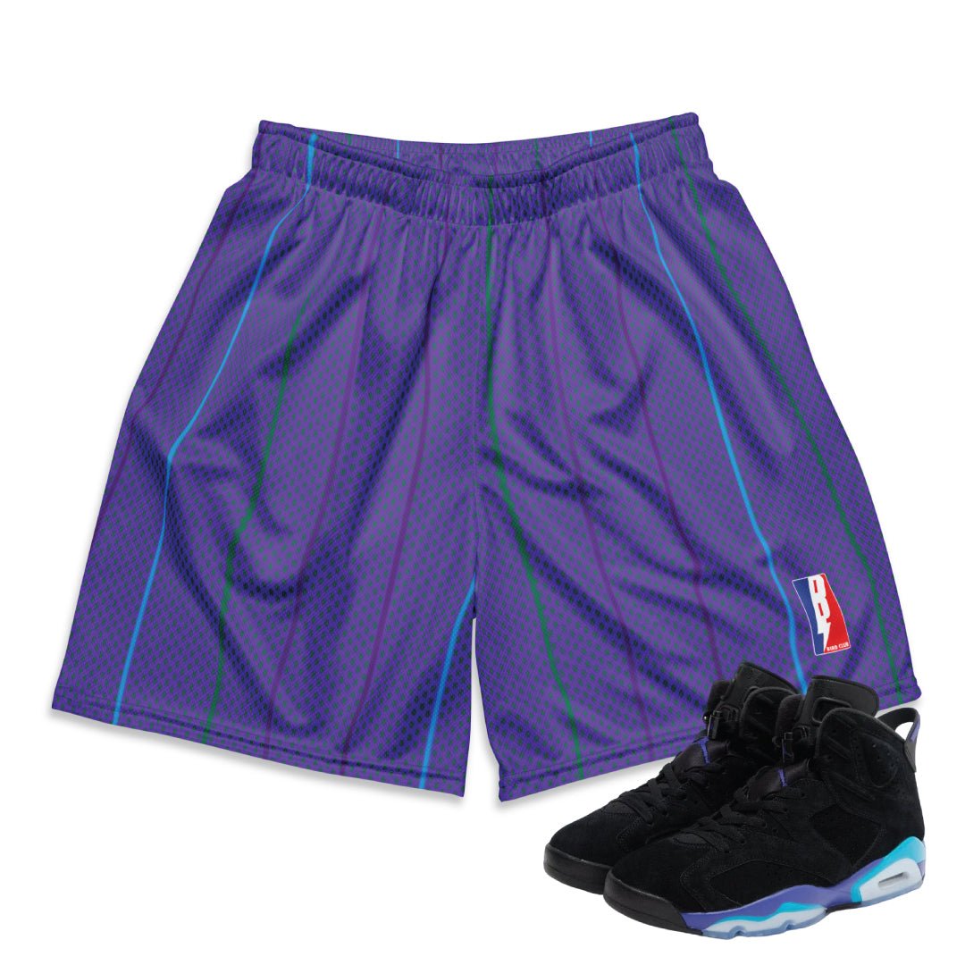 RETRO 6 AQUA HORNETS MESH SHORTS - Sneaker Tees to match Air Jordan Sneakers