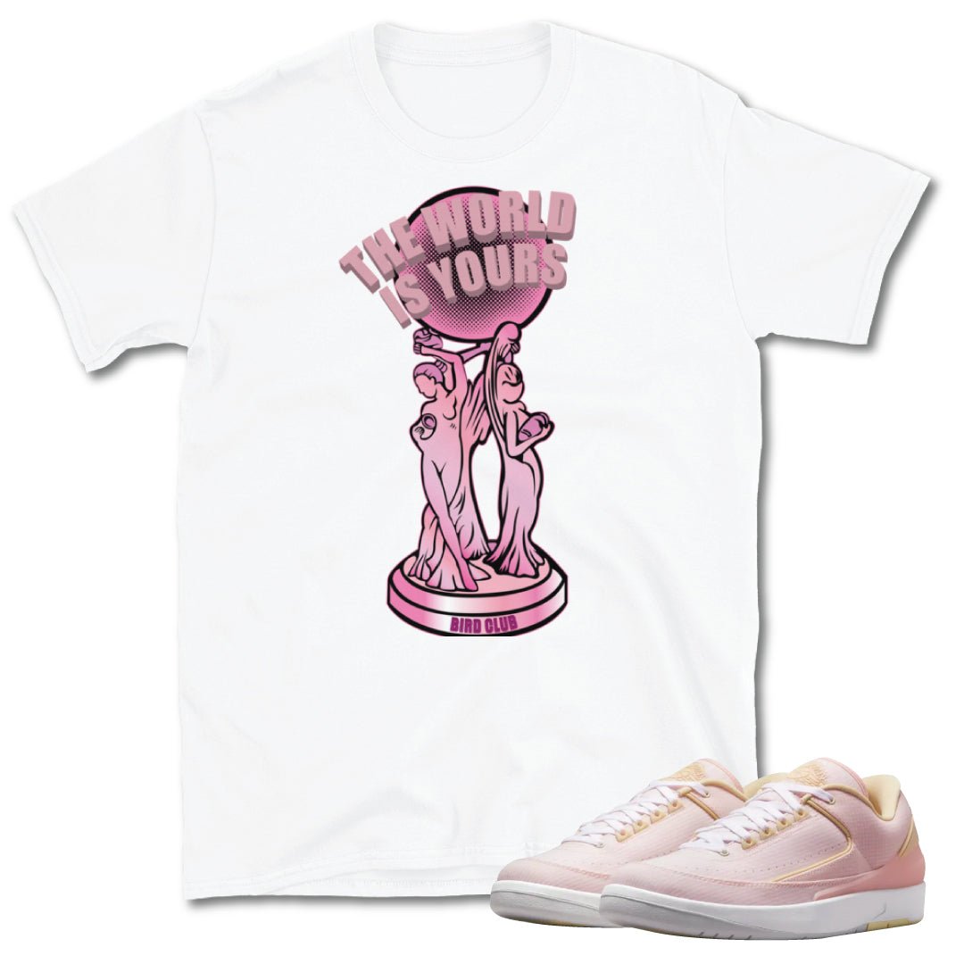 Retro 2 Low "Seersucker" World is Yours Shirt - Sneaker Tees to match Air Jordan Sneakers