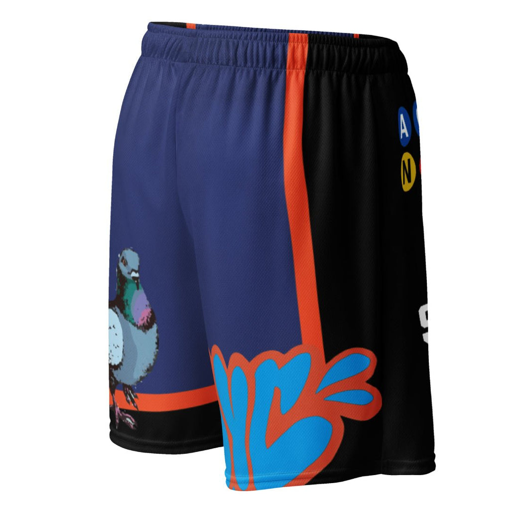 New York State of Mind Basketball Mesh Shorts - Sneaker Tees to match Air Jordan Sneakers