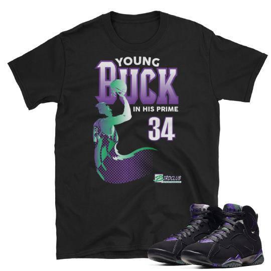 Ray Allen Retro 7 Sneaker Tee - Sneaker Tees to match Air Jordan Sneakers