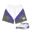 Retro 3 Dark Iris Shorts - Sneaker Tees to match Air Jordan Sneakers
