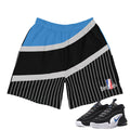 Penny Max 1 Shorts - Sneaker Tees to match Air Jordan Sneakers