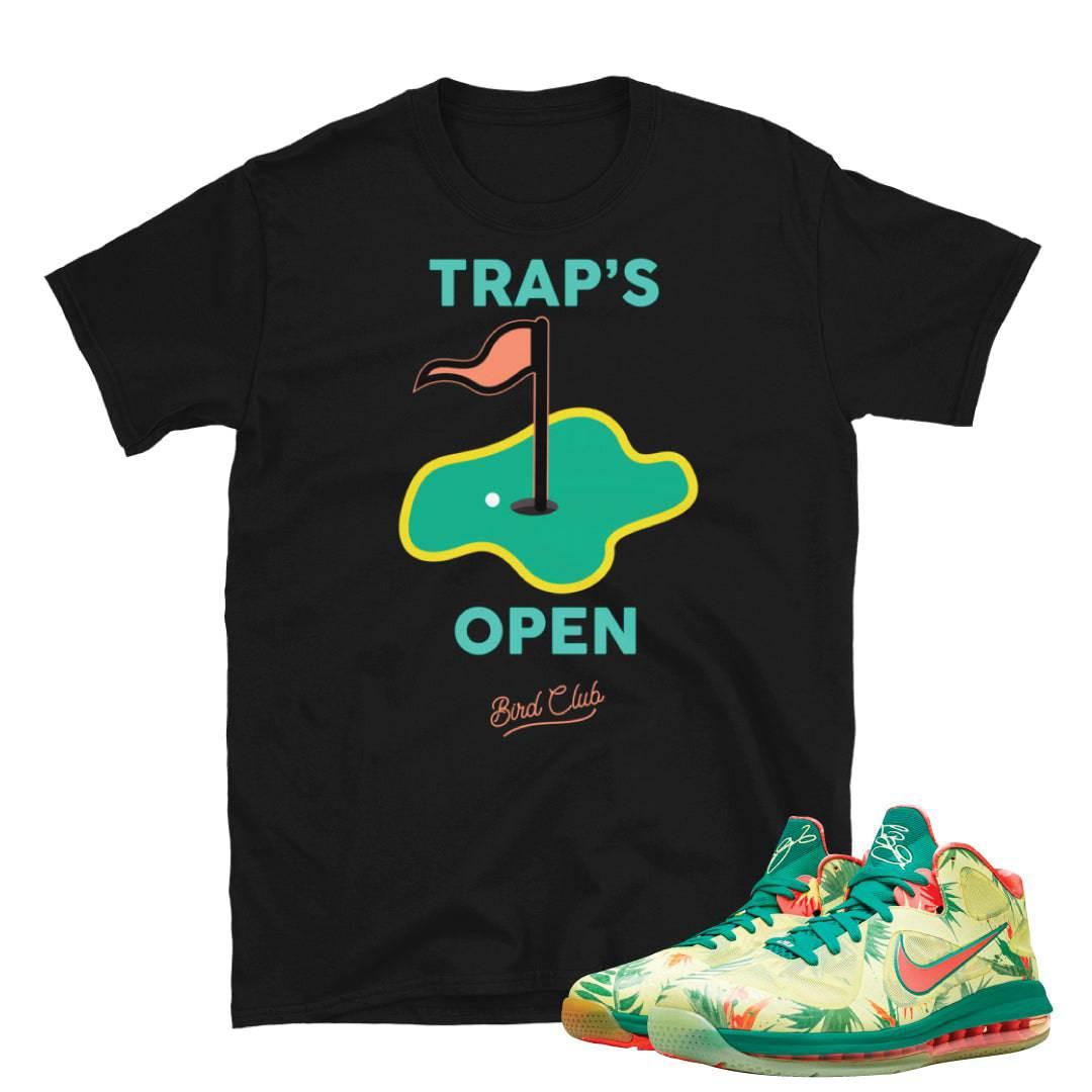 Lebron 9 Arnold Palmer Shirt - Sneaker Tees to match Air Jordan Sneakers