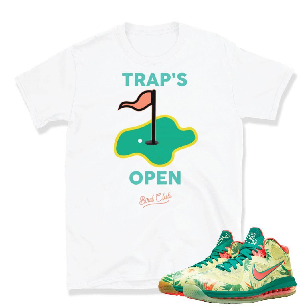 Lebron 9 Arnold Palmer Shirt - Sneaker Tees to match Air Jordan Sneakers